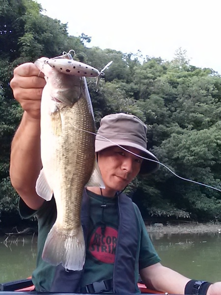 20140716_184756.jpg
