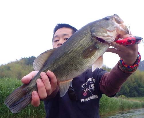 2014_06_23.stf.001.jpg