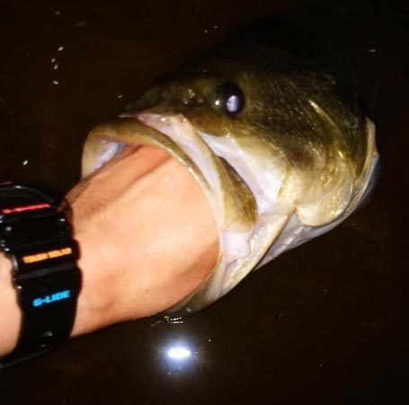 2016_05_10.005.jpg