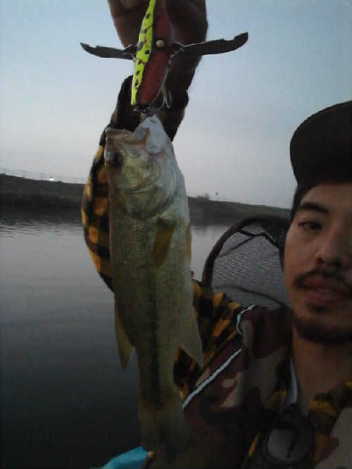 new_2017_10_11.jpg