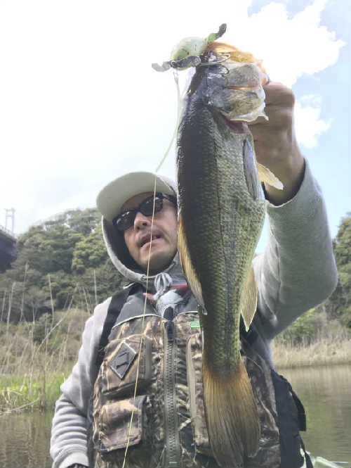 new_2019_04_15.jpg